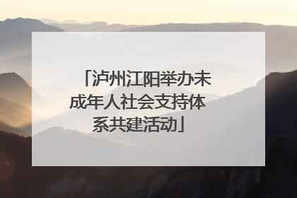 泸州江阳举办未成年人社会支持体系共建活动