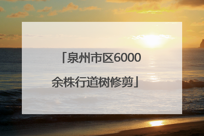 泉州市区6000余株行道树修剪