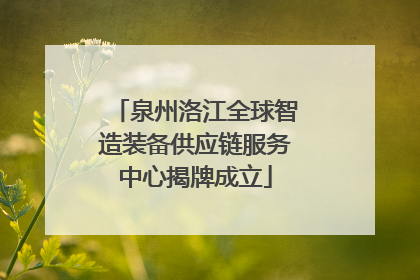 泉州洛江全球智造装备供应链服务中心揭牌成立