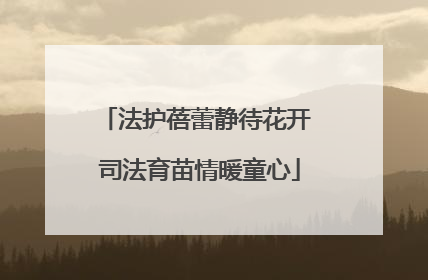 法护蓓蕾静待花开 司法育苗情暖童心