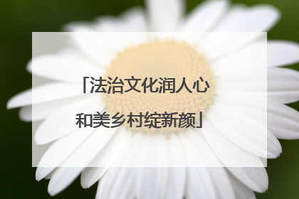 法治文化润人心 和美乡村绽新颜