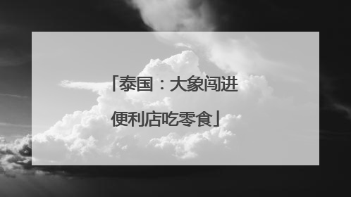 泰国：大象闯进便利店吃零食