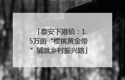 泰安下港镇：1.5万亩“樱桃黄金带”铺就乡村振兴路
