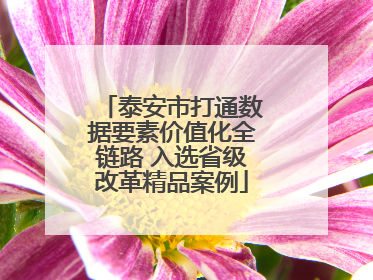 泰安市打通数据要素价值化全链路 入选省级改革精品案例