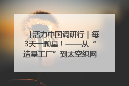 活力中国调研行｜每3天一颗星！——从“造星工厂”到太空织网的“银河速度”