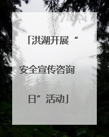 洪湖开展“安全宣传咨询日”活动