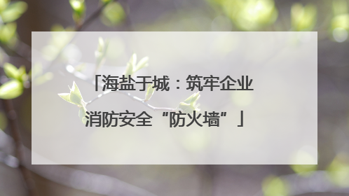 海盐于城：筑牢企业消防安全“防火墙”