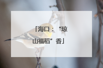 海口：“琼山福稻”香