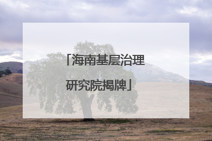 海南基层治理研究院揭牌
