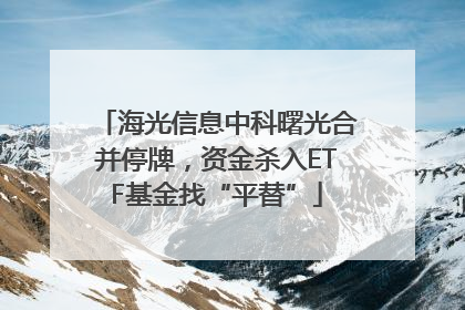 海光信息中科曙光合并停牌，资金杀入ETF基金找“平替”