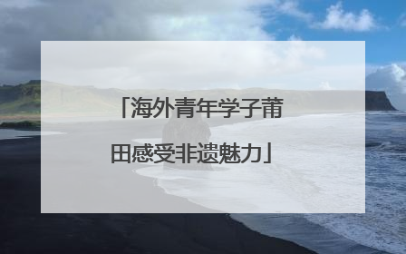 海外青年学子莆田感受非遗魅力