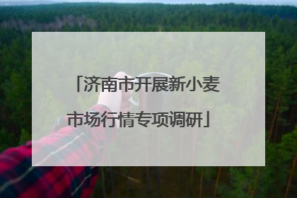 济南市开展新小麦市场行情专项调研