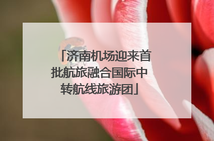 济南机场迎来首批航旅融合国际中转航线旅游团