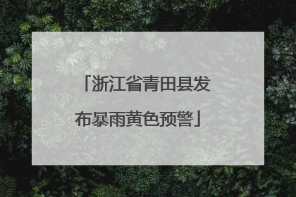 浙江省青田县发布暴雨黄色预警