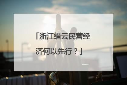 浙江缙云民营经济何以先行？