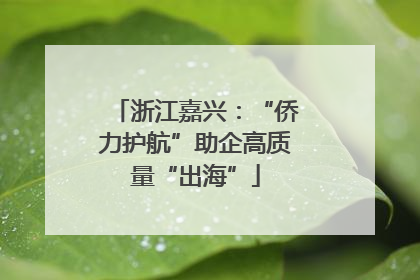 浙江嘉兴：“侨力护航”助企高质量“出海”