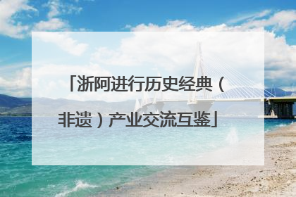 浙阿进行历史经典（非遗）产业交流互鉴