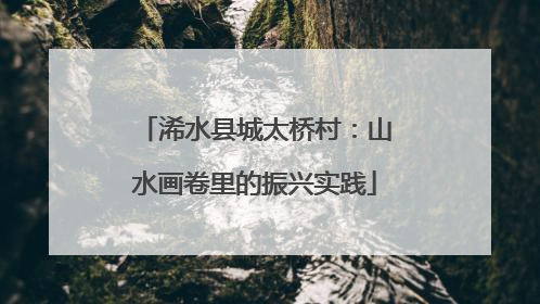 浠水县城太桥村:山水画卷里的振兴实践