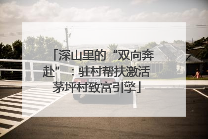 深山里的“双向奔赴”：驻村帮扶激活茅坪村致富引擎