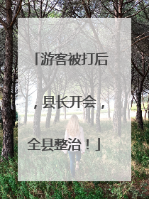 游客被打后，县长开会，全县整治！