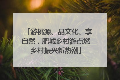 游桃源、品文化、享自然，肥城乡村游点燃乡村振兴新热潮