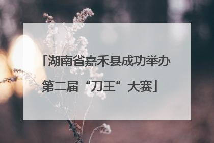 湖南省嘉禾县成功举办第二届“刀王”大赛