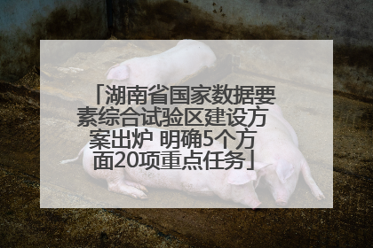 湖南省国家数据要素综合试验区建设方案出炉 明确5个方面20项重点任务