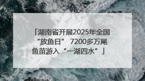 湖南省开展2025年全国“放鱼日” 7200多万尾鱼苗游入“一湖四水”