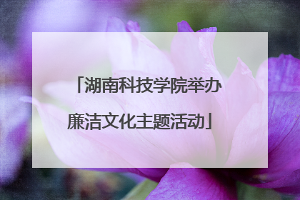 湖南科技学院举办廉洁文化主题活动