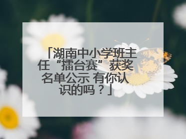 湖南中小学班主任“擂台赛”获奖名单公示 有你认识的吗？