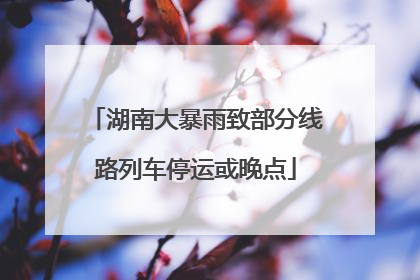 湖南大暴雨致部分线路列车停运或晚点