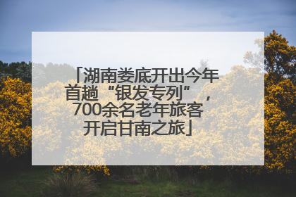 湖南娄底开出今年首趟“银发专列”，700余名老年旅客开启甘南之旅