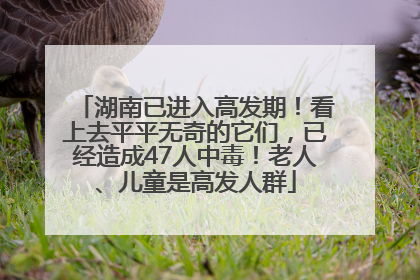 湖南已进入高发期！看上去平平无奇的它们，已经造成47人中毒！老人、儿童是高发人群