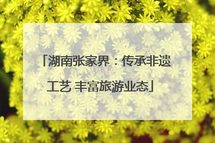 湖南张家界：传承非遗工艺 丰富旅游业态