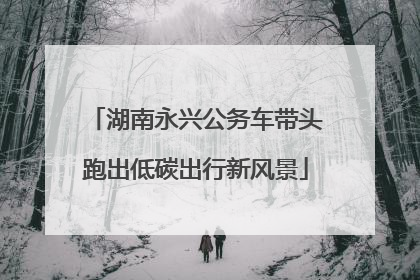 湖南永兴公务车带头跑出低碳出行新风景