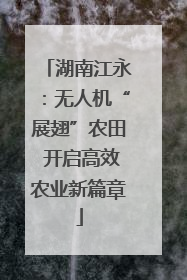 湖南江永：无人机“展翅”农田 开启高效农业新篇章