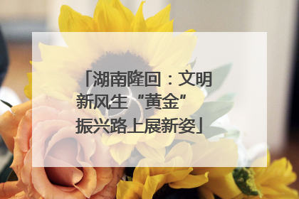 湖南隆回:文明新风生“黄金” 振兴路上展新姿
