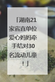 湖南21家省直单位爱心妈妈牵手结对30名流动儿童！