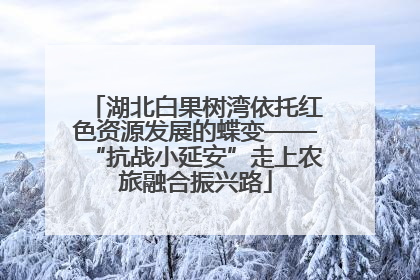 湖北白果树湾依托红色资源发展的蝶变——“抗战小延安”走上农旅融合振兴路