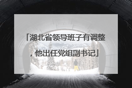 湖北省领导班子有调整，他出任党组副书记