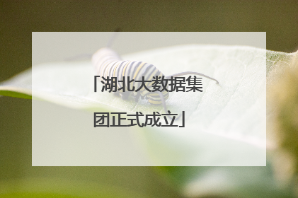 湖北大数据集团正式成立