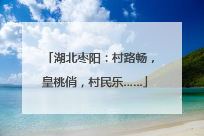 湖北枣阳：村路畅，皇桃俏，村民乐……