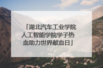 湖北汽车工业学院人工智能学院学子热血助力世界献血日