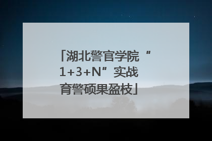 湖北警官学院“1+3+N”实战育警硕果盈枝