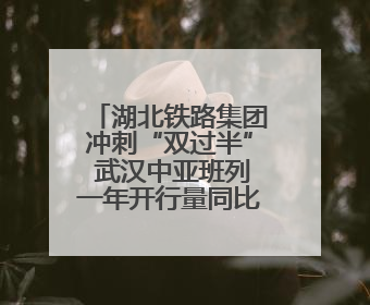 湖北铁路集团冲刺“双过半” 武汉中亚班列一年开行量同比增长72%