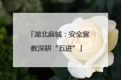 湖北麻城：安全宣教深耕“五进”