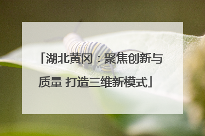 湖北黄冈：聚焦创新与质量 打造三维新模式