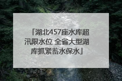 湖北457座水库超汛限水位 全省大型湖库抓紧蓄水保水