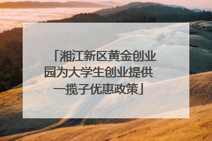 湘江新区黄金创业园为大学生创业提供一揽子优惠政策