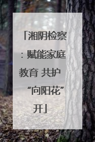 湘阴检察：赋能家庭教育 共护“向阳花”开